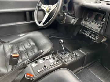 1981 Ferrari 512 照片 10