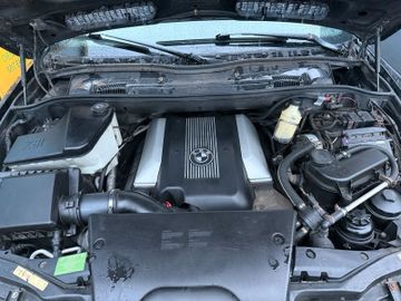 2001 BMW X5 照片 6