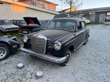 1900 Mercedes-BENZ OTHERS 照片 9